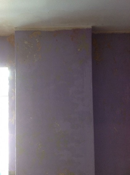 Alpha Damp Proofing